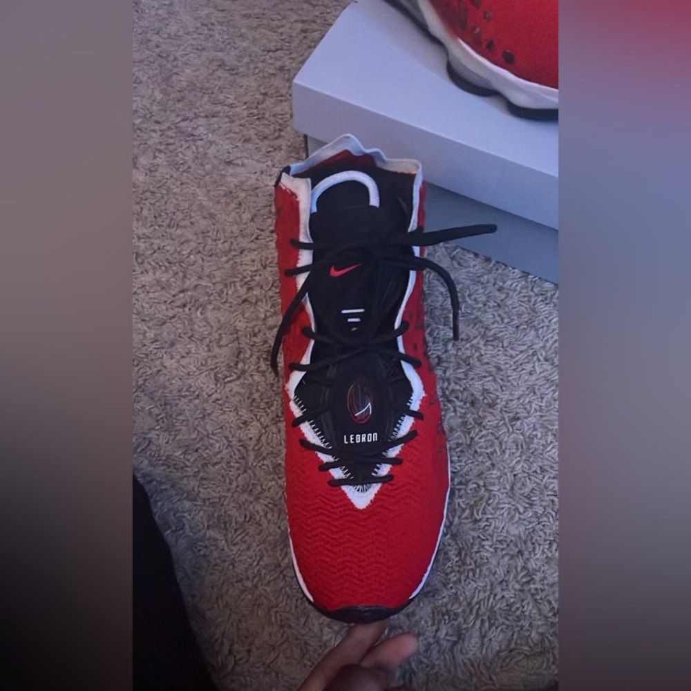 Nike LeBron 17